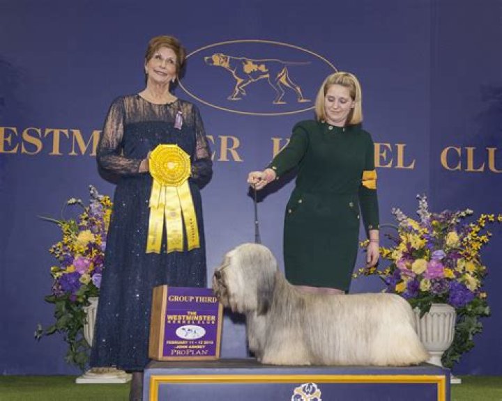 Westminster Dog Show 2018 – Pics