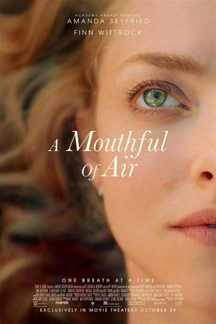 ‘A Mouthful Of Air’ Creator Amy Koppelman Talks Postpartum Depression – Hollywood Life
