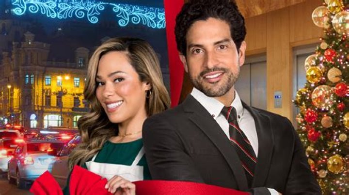 Adam Rodriguez On ‘A Christmas Proposal’ & A Latinx Holiday Movie – Hollywood Life