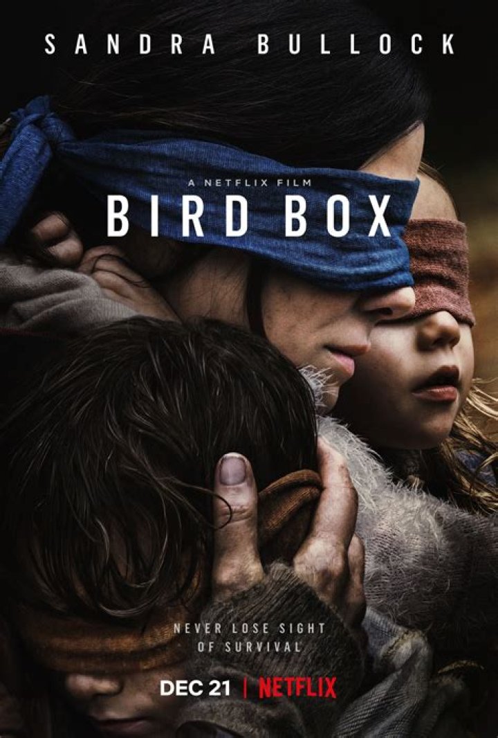 ‘Bird Box’ Movie — Photos