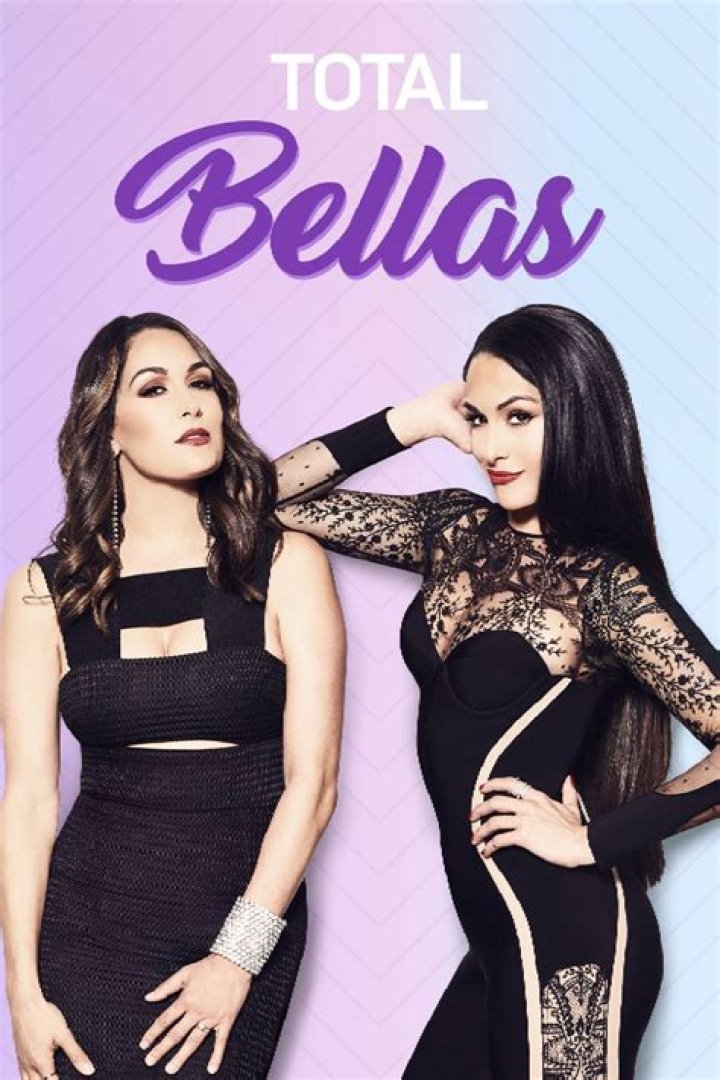 ‘Total Bellas’ Preview: Nikki & Artem Create Tension By Overstaying Welcome At Brie’s Home