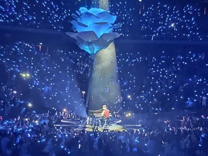 Camila Cabello Is Nearly In Tears While Watching Shawn Mendes Perform In Concert: Sweet Video