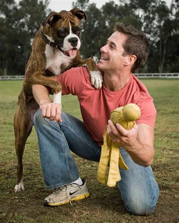 Celebrity Dog Trainer Travis Brorsen: 5 Reasons You Must Train Your Dog