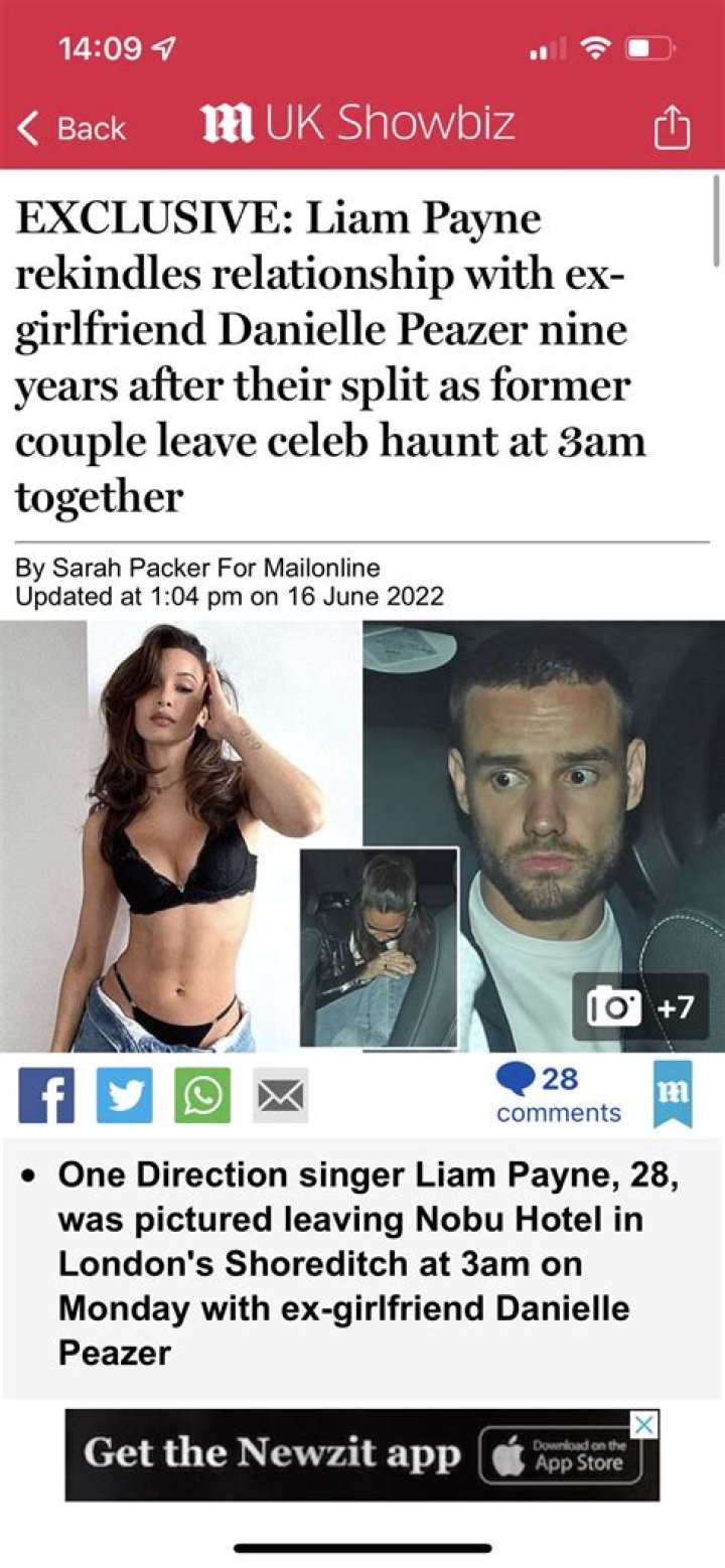 Liam Payne & Girlfriend Danielle Peazer Break Up — Report