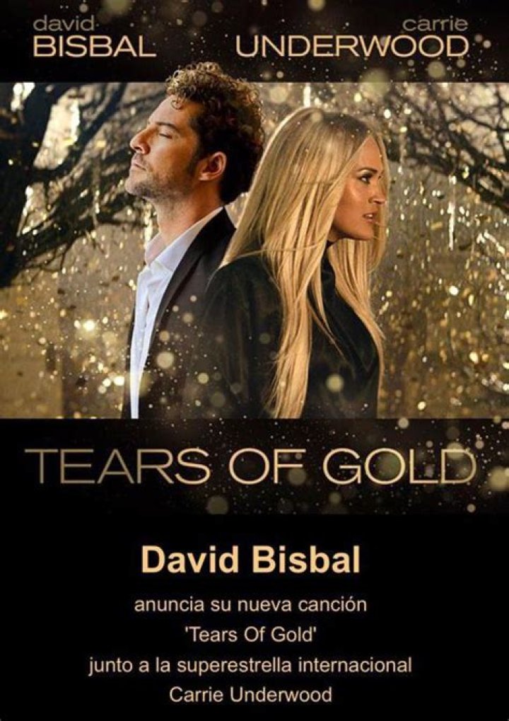 David Bisbal Speaks On Carrie Underwood Collab ‘Tears Of Gold’ – Hollywood Life