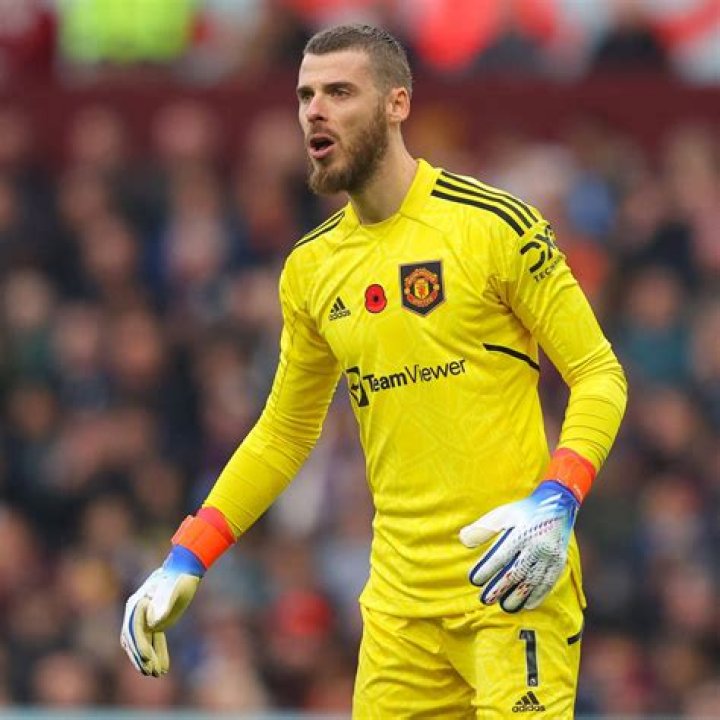 Celebrity Biography of David de Gea. – Hollywood Life