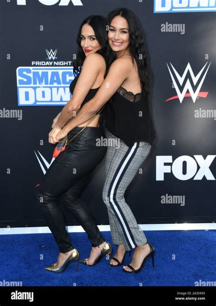 Eva Marie Says WWE Stars Nikki & Brie Bella Are ‘Staples’ To Wrestling – Hollywood Life