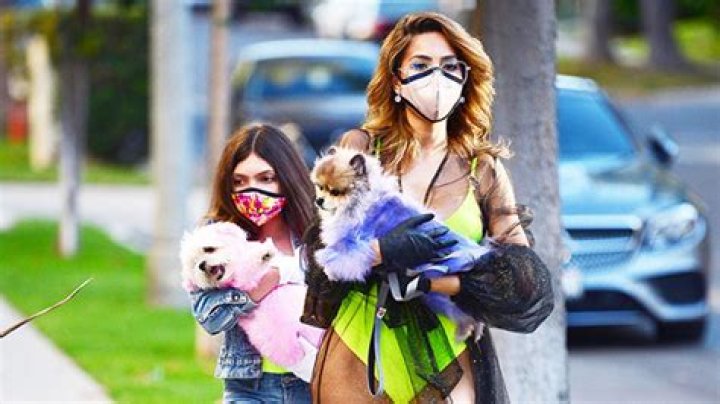 Farrah Abraham Wears Lime Green Swimsuit Out Walking Her Dog With Daughter — See Pic