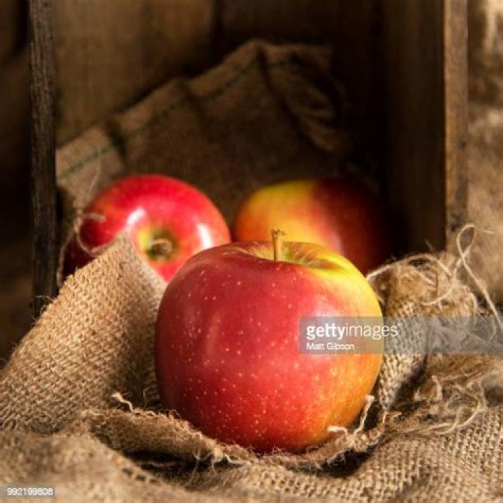 ‘He’s All That’ — Photos Of The ‘She’s All That’ Remake – Hollywood Life