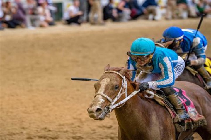 Horses In The 2016 Kentucky Derby — PICS