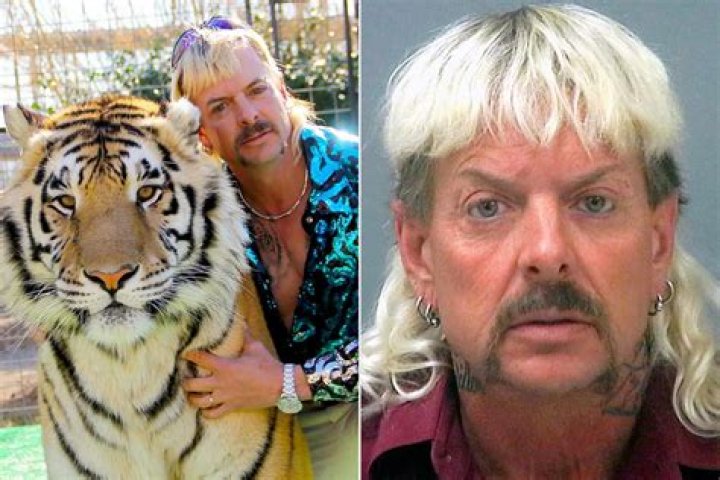 The ‘Tiger King’ Star’s Jail Sentence Explained – Hollywood Life