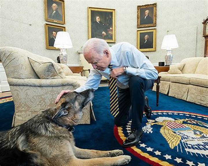 Joe & Jill Biden Mourn Beloved German Shepherd Champ After He Dies At 13: ‘Our Hearts Are Heavy’