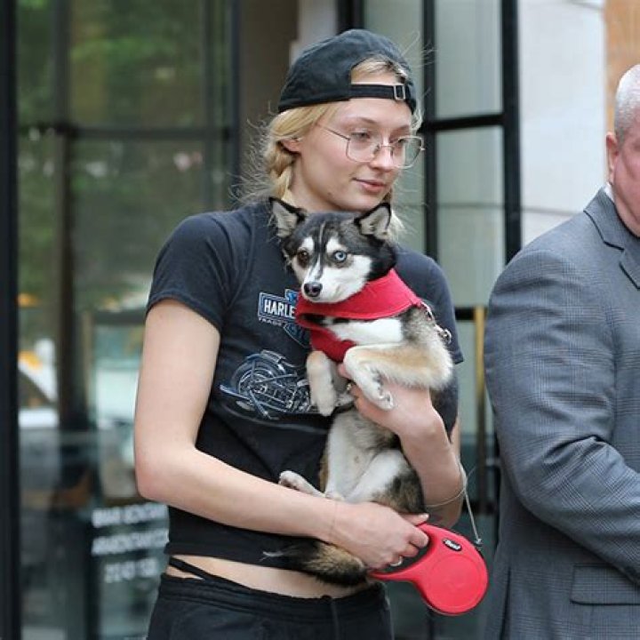 Joe Jonas & Sophie Turner’s Dog Waldo Struck & Killed By Car In NYC