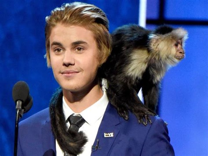 Justin Bieber: Did He Adopt A Monkey?