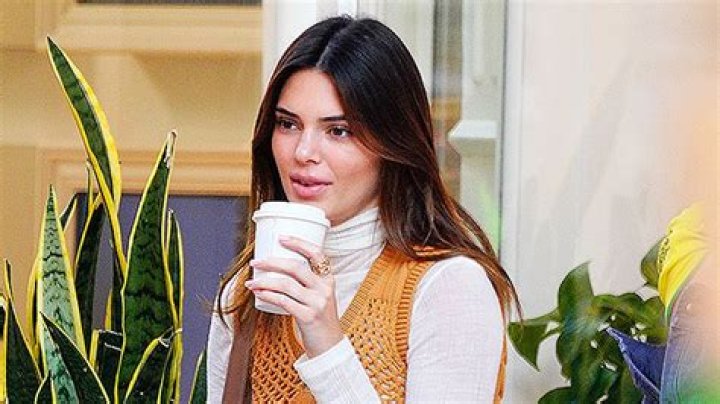 Kendall Jenner Enjoys Her Morning Coffee In A Sexy Robe & $2K Pair Of Louis Vuitton Slippers — See Pic