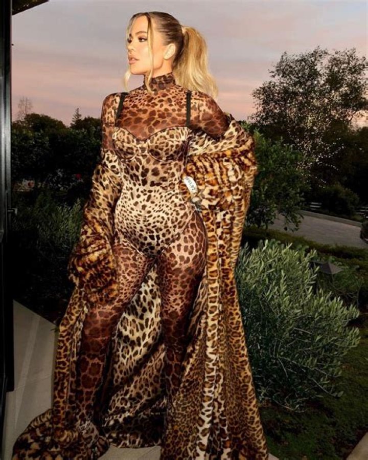 10 Times Kim Kardashian Slayed In Animal Print — Pics