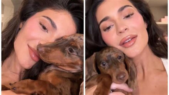 Kylie Jenner Has A New Dog? She Shares Pics Of Puppy Named Kevin – Hollywood Life