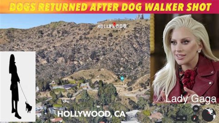 Lady Gaga’s Dog Walker Asks For Fan Help 6 Months After Being Shot – Hollywood Life