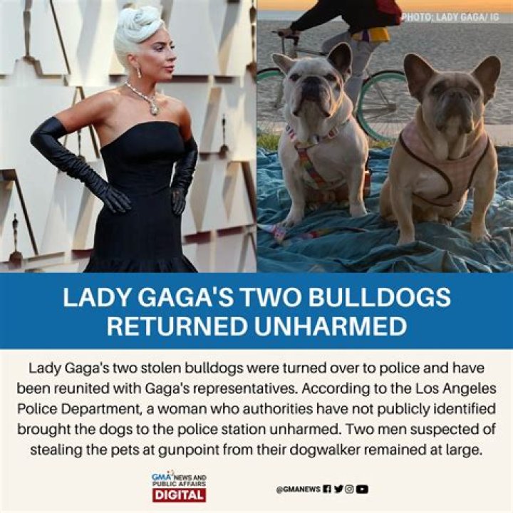 Lady Gaga ‘Shaken Up’ Over Robbery Of Her French Bulldogs & Shooting: ‘They’re Like Children’