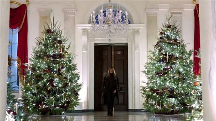 Melania Trump’s White House Christmas Decorations For 2020 — Photos – Hollywood Life