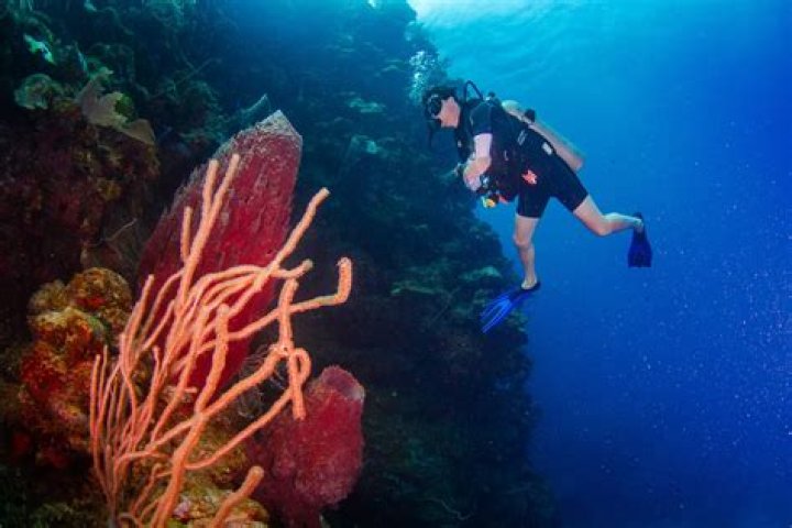 Millie Bobby Brown In Green Bikini As She Scuba Dives – Hollywood Life