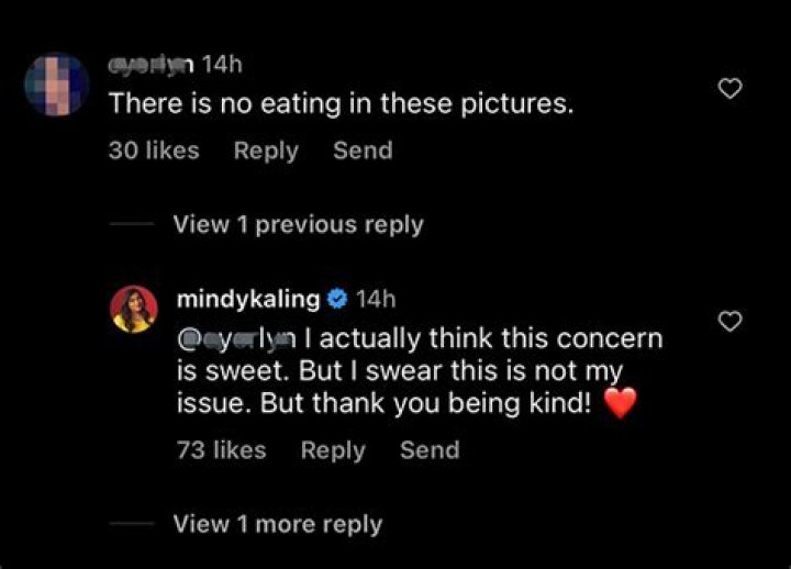 Mindy Kaling Insists She Has No ‘Issue’ With Eating Food After IG Commenter Expresses Concern