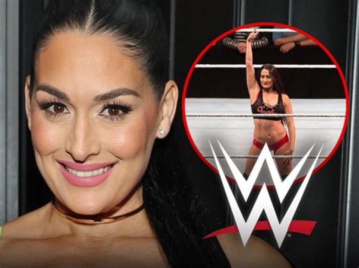 Nikki Bella Shows Off Her Growing Baby Bump In A Teeny Black Bikini