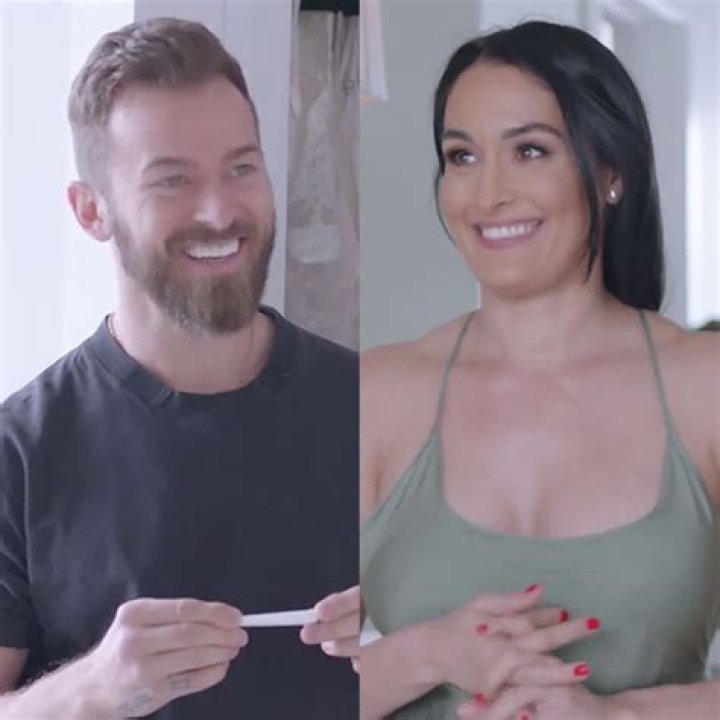 Nikki & Brie Bella Pregnant: Twin Sisters, 36, Expecting Babies At The Same Time — Congrats