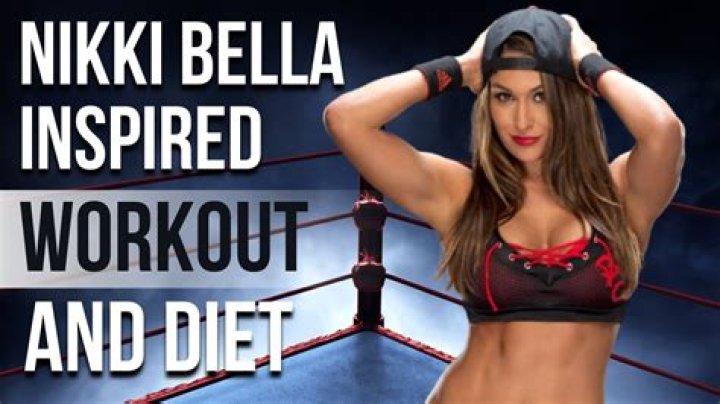 Nikki & Brie Bella Talk Getting In Shape After Having Babies – Hollywood Life