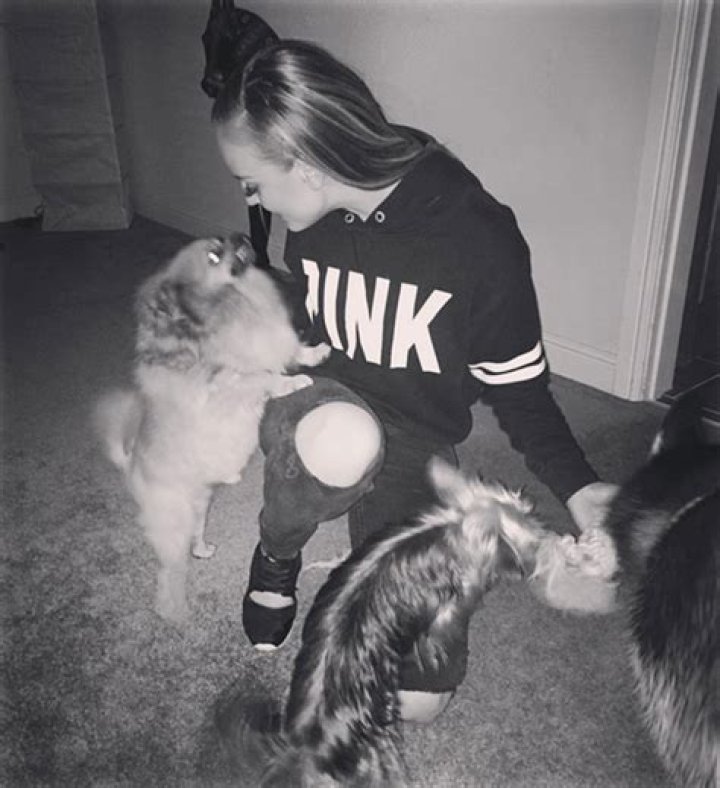 Zayn Malik & Perrie Edwards: She’s Thrilled About Winning Custody Of Their Two Dogs