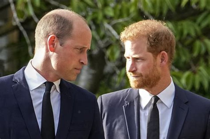 Prince Harry Grieves Over Princess Diana’s Exploitative Interview: ‘Our Mother Lost Her Life’