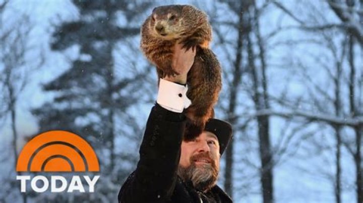 Pictures Of Weather Predicting Groundhog – Hollywood Life