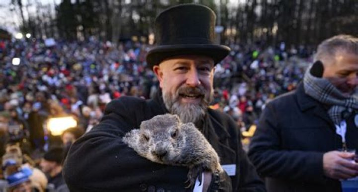 Punxsutawney Phil Celebrity Profile | Groundhog – Hollywood Life