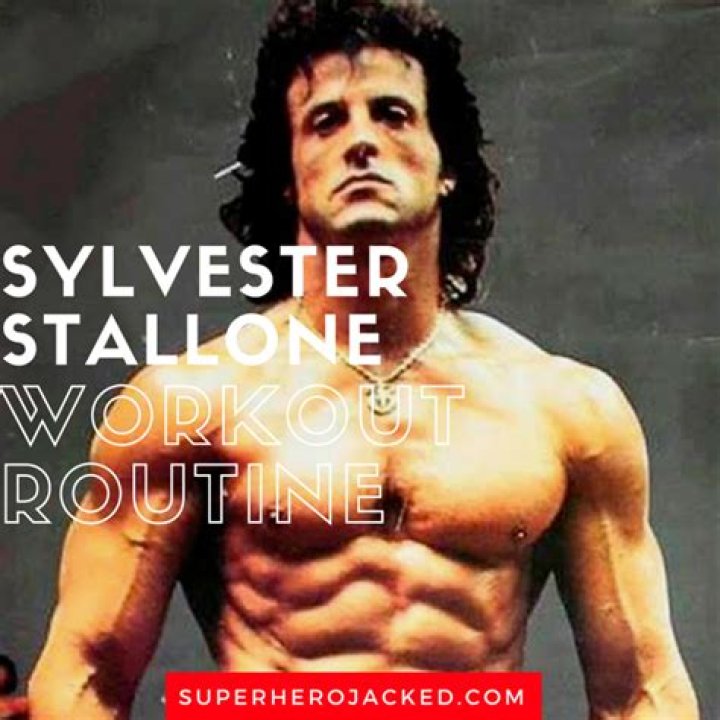 Sylvester Stallone Flexes His Arm Muscles After Gym Workout – Hollywood Life