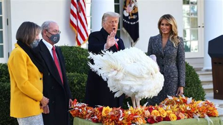 Donald Trump Pardons His Final Turkey As President Ahead Of Thanksgiving 2020