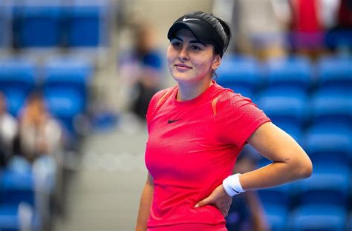 Who Is Bianca Andreescu? 5 Things To Know About the U.S. Open Winner – Hollywood Life