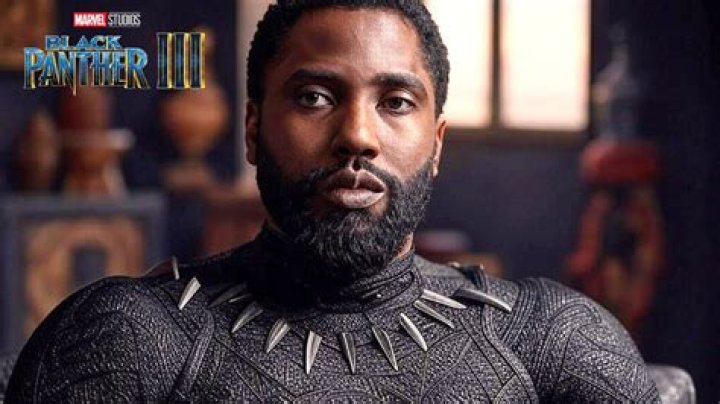 Who Is The New Black Panther? Shuri Takes T’Challa’s Place – Hollywood Life